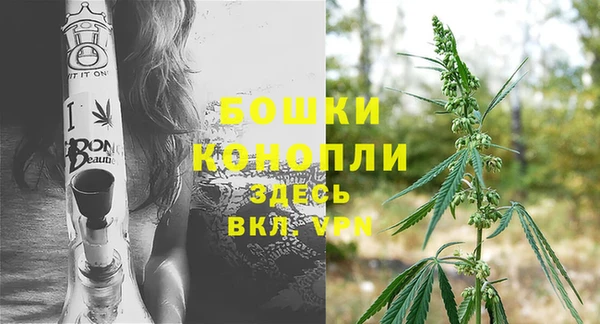 дурь Рославль