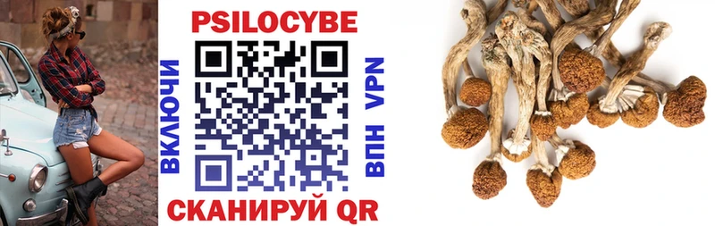 Галлюциногенные грибы мицелий  Верхняя Тура 